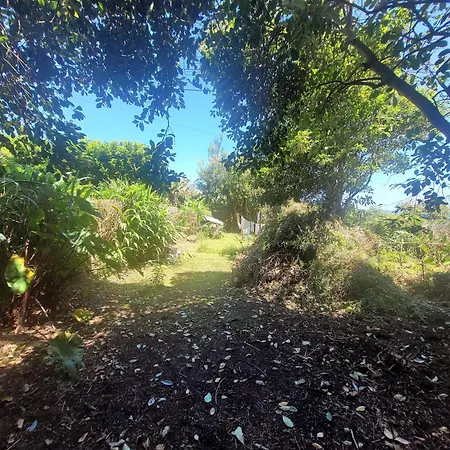 The Handmade House Azores *