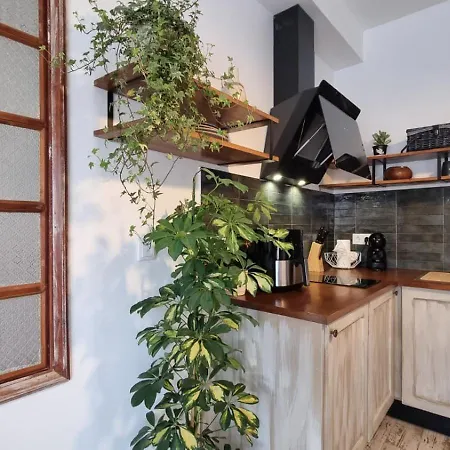 بيت ضيافة The Handmade House Azores