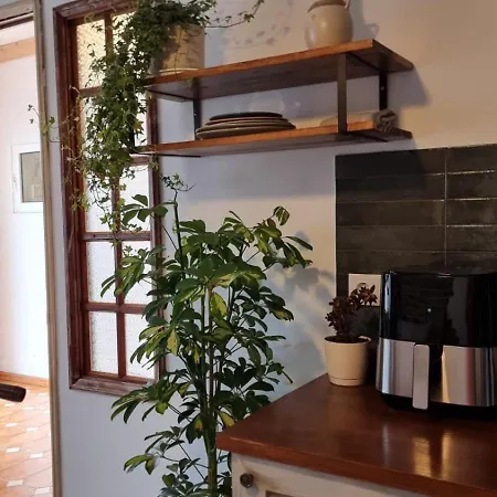 The Handmade House Azores بيت ضيافة *