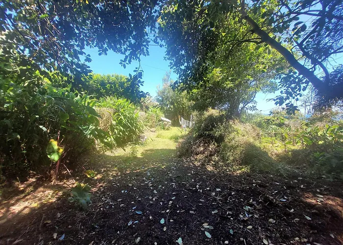 The Handmade House Azores *